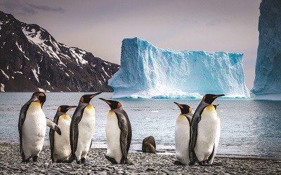 Antarctica Cruises & Travel Tours | Luxury Antarctica Cruises
