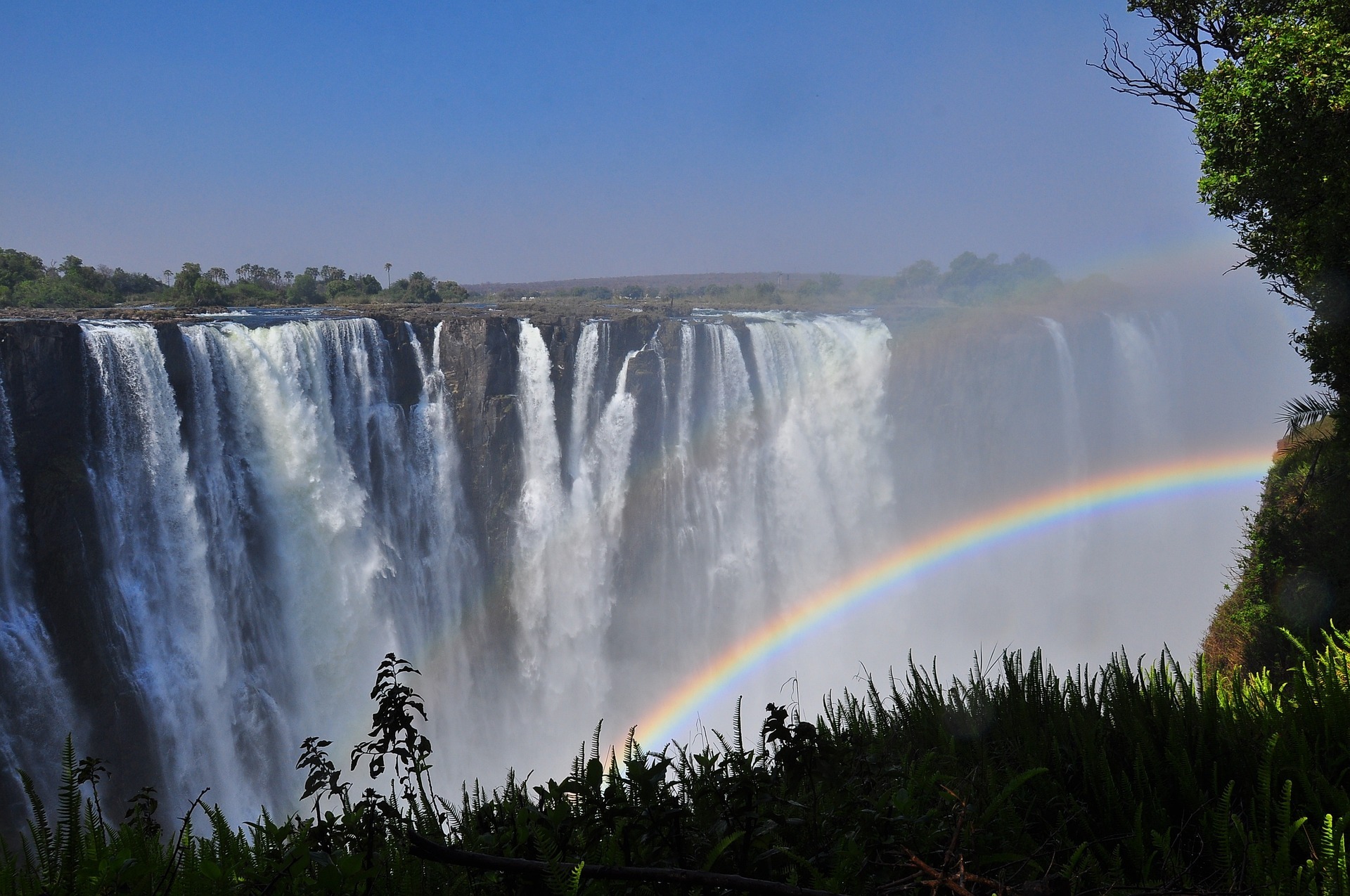 Victoria Falls Safari